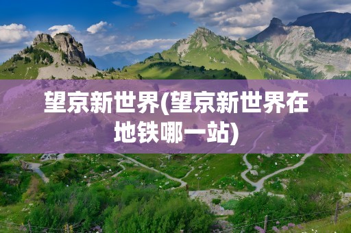 望京新世界(望京新世界在地铁哪一站)