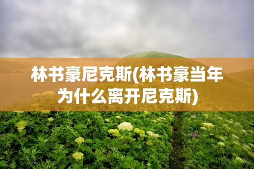 林书豪尼克斯(林书豪当年为什么离开尼克斯)