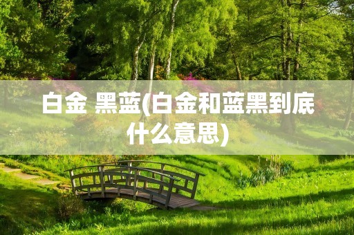 白金 黑蓝(白金和蓝黑到底什么意思)