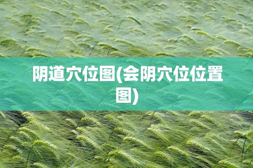 阴道穴位图(会阴穴位位置图)
