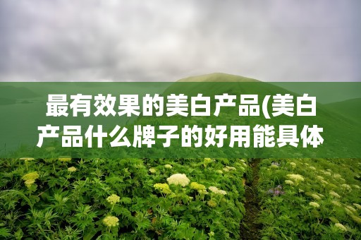 最有效果的美白产品(美白产品什么牌子的好用能具体说说吗)