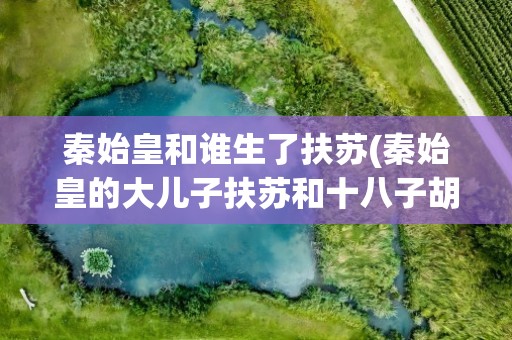 秦始皇和谁生了扶苏(秦始皇的大儿子扶苏和十八子胡亥都是谁所生皇后又是何)