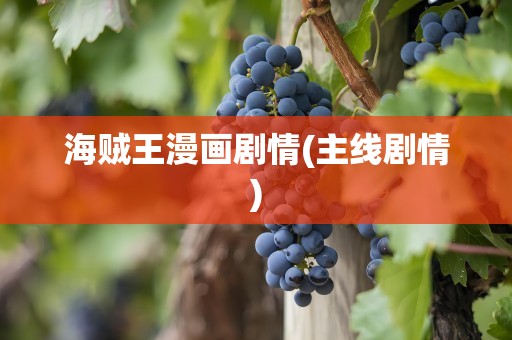 海贼王漫画剧情(主线剧情)