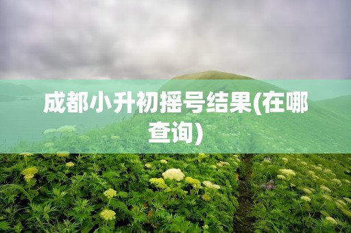 成都小升初摇号结果(在哪查询)
