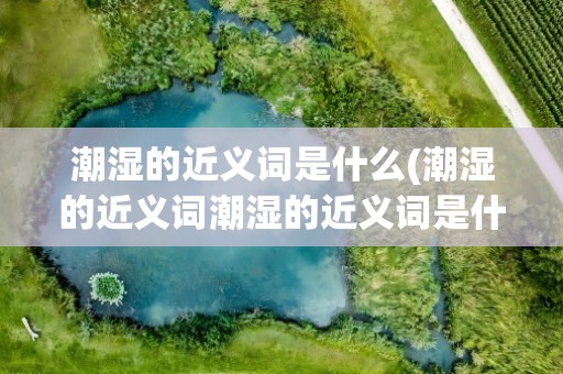 潮湿的近义词是什么(潮湿的近义词潮湿的近义词是什么)