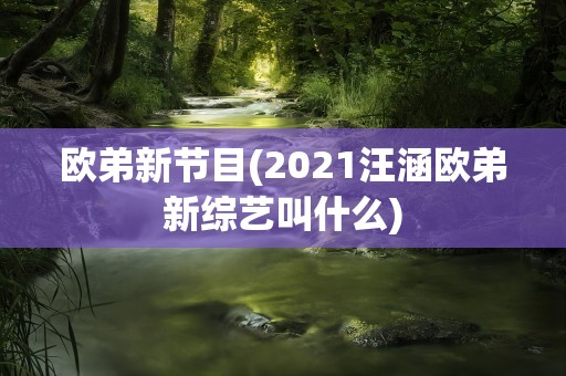 欧弟新节目(2021汪涵欧弟新综艺叫什么)