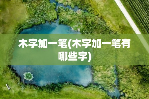 木字加一笔(木字加一笔有哪些字)