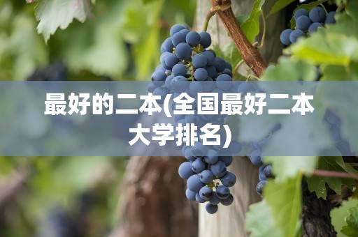 最好的二本(全国最好二本大学排名)