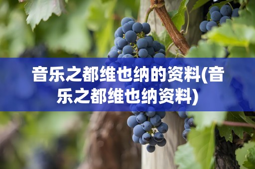 音乐之都维也纳的资料(音乐之都维也纳资料)