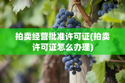 拍卖经营批准许可证(拍卖许可证怎么办理)