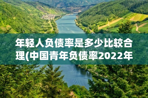 年轻人负债率是多少比较合理(中国青年负债率2022年)