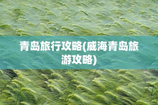 青岛旅行攻略(威海青岛旅游攻略)