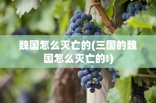 魏国怎么灭亡的(三国的魏国怎么灭亡的!)