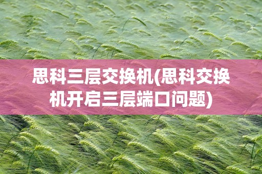 思科三层交换机(思科交换机开启三层端口问题)