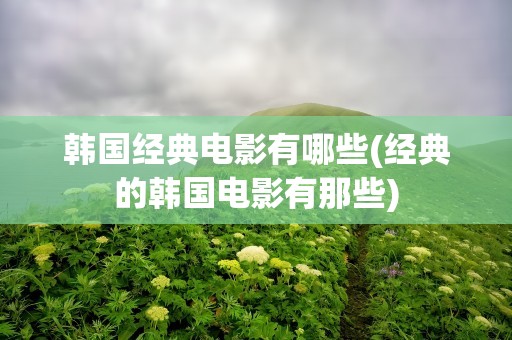 韩国经典电影有哪些(经典的韩国电影有那些)