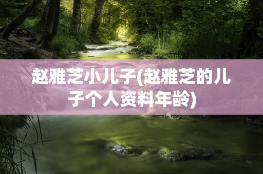 赵雅芝小儿子(赵雅芝的儿子个人资料年龄)