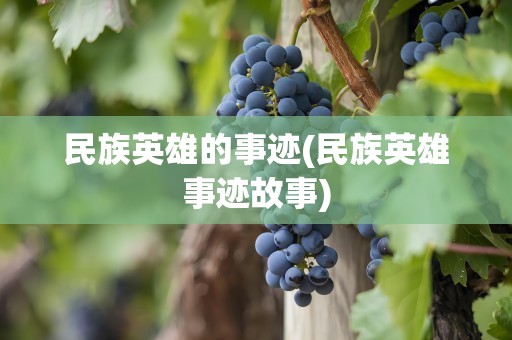 民族英雄的事迹(民族英雄事迹故事)