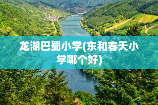 龙湖巴蜀小学(东和春天小学哪个好)