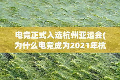 电竞正式入选杭州亚运会(为什么电竞成为2021年杭州亚运会正式比赛项目)