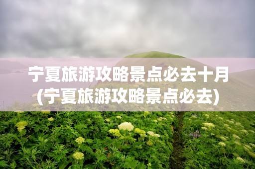 宁夏旅游攻略景点必去十月(宁夏旅游攻略景点必去)