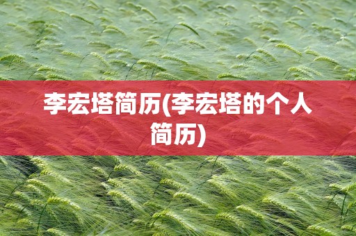 李宏塔简历(李宏塔的个人简历)