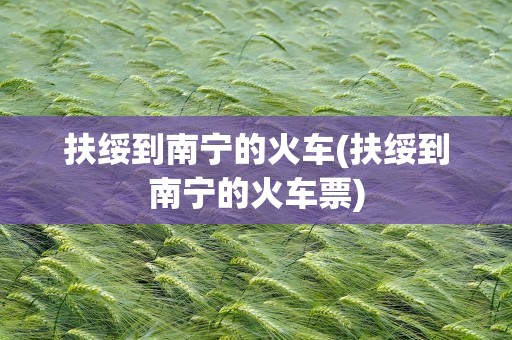 扶绥到南宁的火车(扶绥到南宁的火车票)