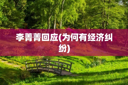 李菁菁回应(为何有经济纠纷)