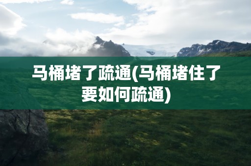 马桶堵了疏通(马桶堵住了要如何疏通)