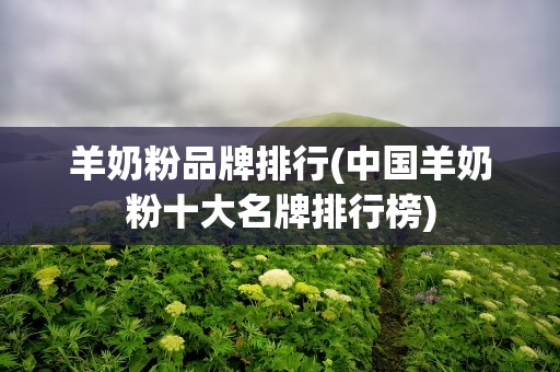 羊奶粉品牌排行(中国羊奶粉十大名牌排行榜)