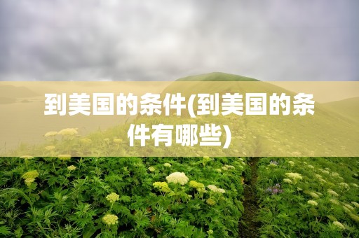 到美国的条件(到美国的条件有哪些)