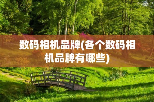 数码相机品牌(各个数码相机品牌有哪些)