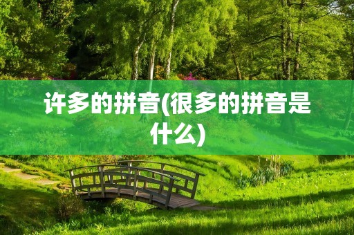 许多的拼音(很多的拼音是什么)