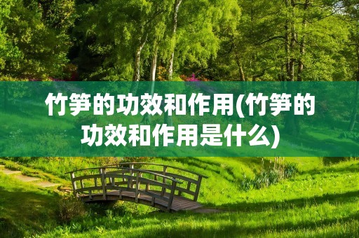 竹笋的功效和作用(竹笋的功效和作用是什么)