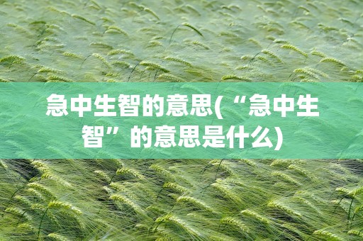 急中生智的意思(“急中生智”的意思是什么)