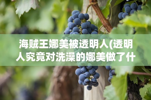 海贼王娜美被透明人(透明人究竟对洗澡的娜美做了什么)