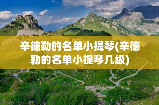 辛德勒的名单小提琴(辛德勒的名单小提琴几级)