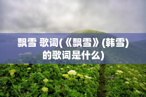 飘雪 歌词(《飘雪》(韩雪)的歌词是什么)