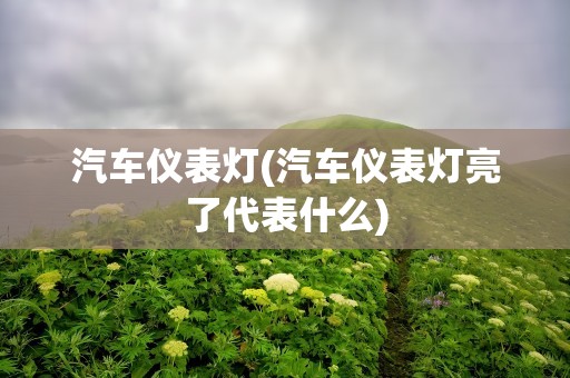 汽车仪表灯(汽车仪表灯亮了代表什么)
