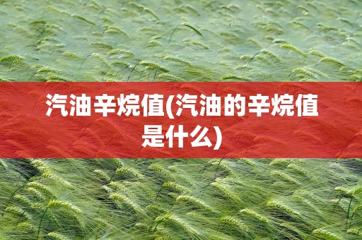 汽油辛烷值(汽油的辛烷值是什么)