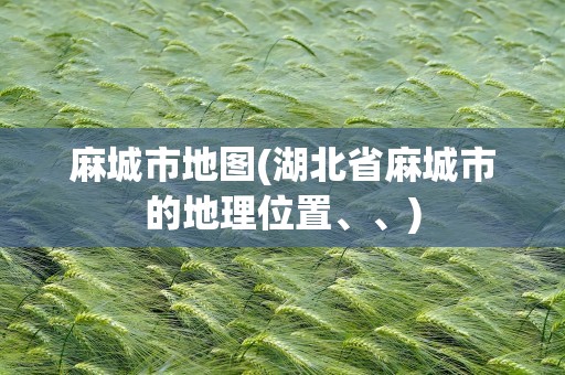 麻城市地图(湖北省麻城市的地理位置、、)