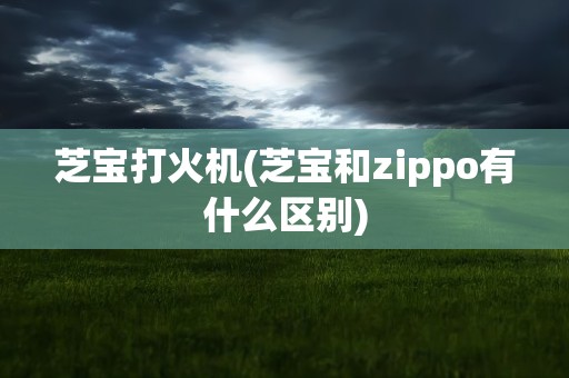 芝宝打火机(芝宝和zippo有什么区别)