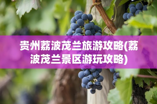贵州荔波茂兰旅游攻略(荔波茂兰景区游玩攻略)