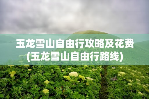 玉龙雪山自由行攻略及花费(玉龙雪山自由行路线)