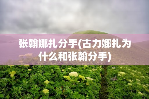 张翰娜扎分手(古力娜扎为什么和张翰分手)