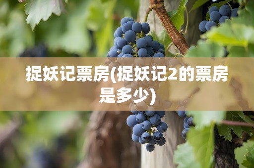 捉妖记票房(捉妖记2的票房是多少)