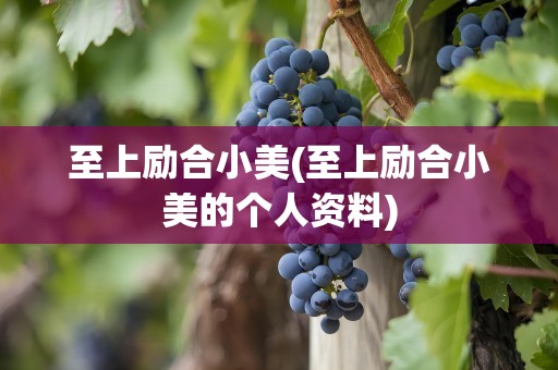 至上励合小美(至上励合小美的个人资料)