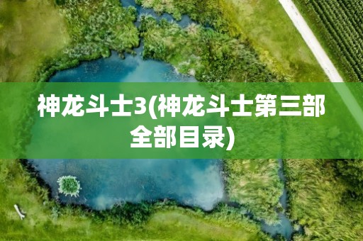 神龙斗士3(神龙斗士第三部全部目录)