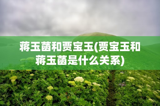 蒋玉菡和贾宝玉(贾宝玉和蒋玉菡是什么关系)