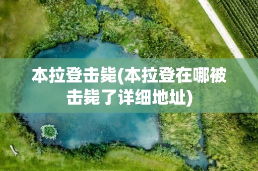 本拉登击毙(本拉登在哪被击毙了详细地址)