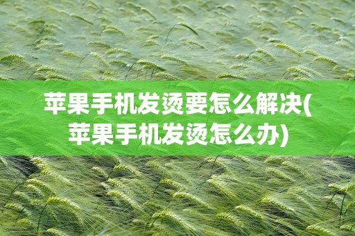 苹果手机发烫要怎么解决(苹果手机发烫怎么办)